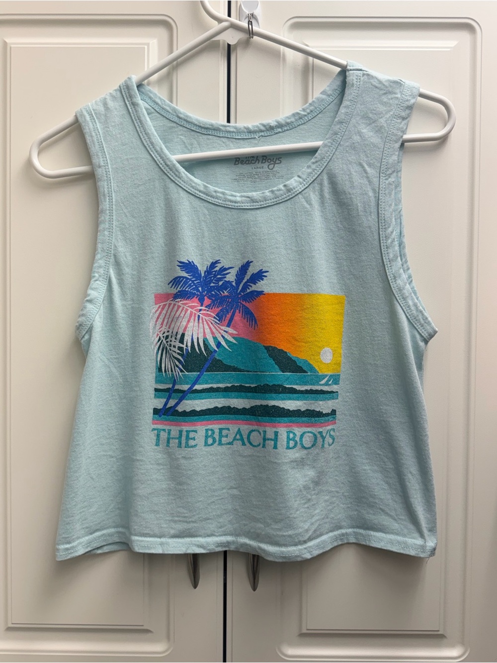 The Beach Boys  women’s Light Blue Graphic Crop Tank size large